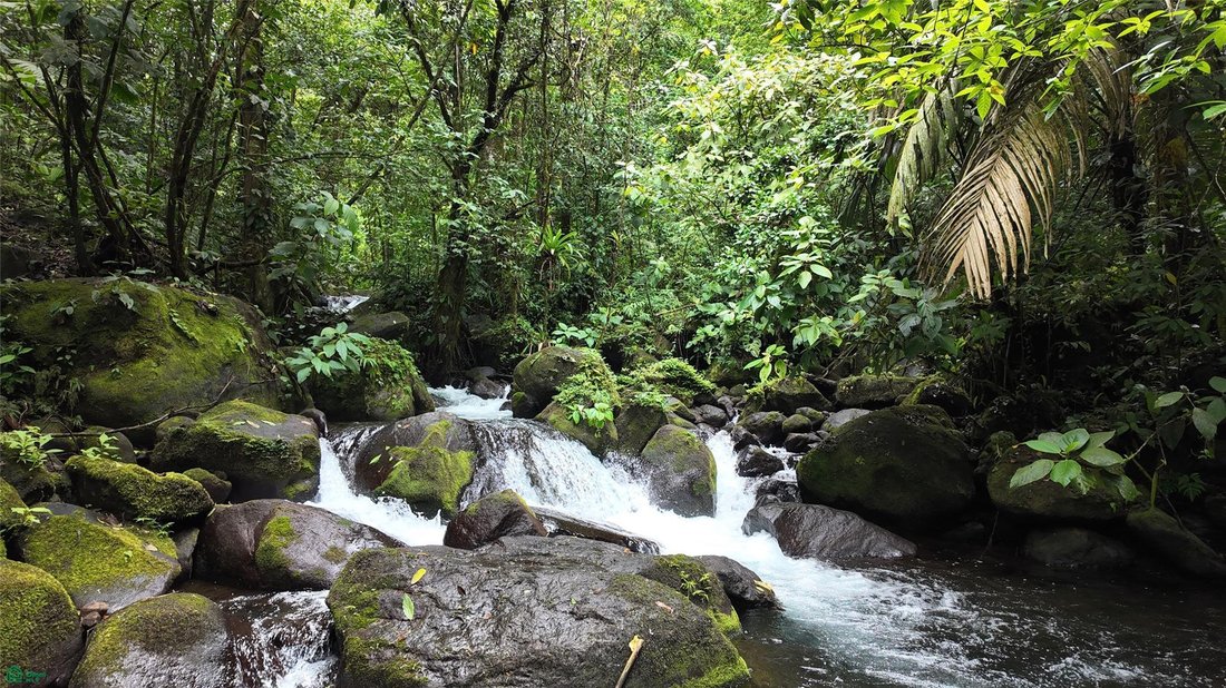 Land in Bijagua, Upala, Costa Rica 5 - 18321239