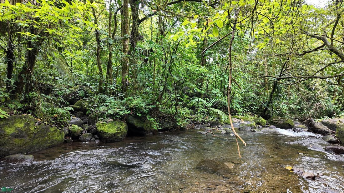 Land in Bijagua, Upala, Costa Rica 4 - 18321239