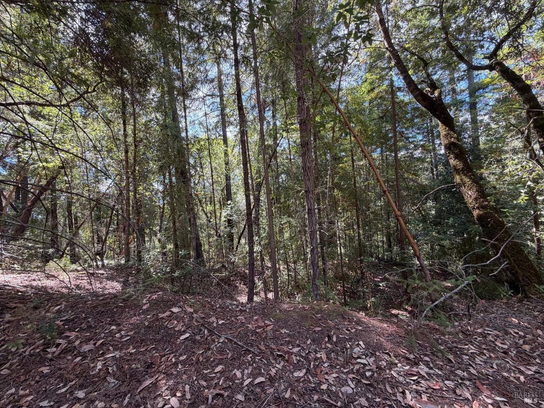 Land in Forestville, California, United States 1 - 18867703