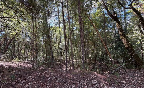 Terrain à Forestville, Californie, États-Unis 1