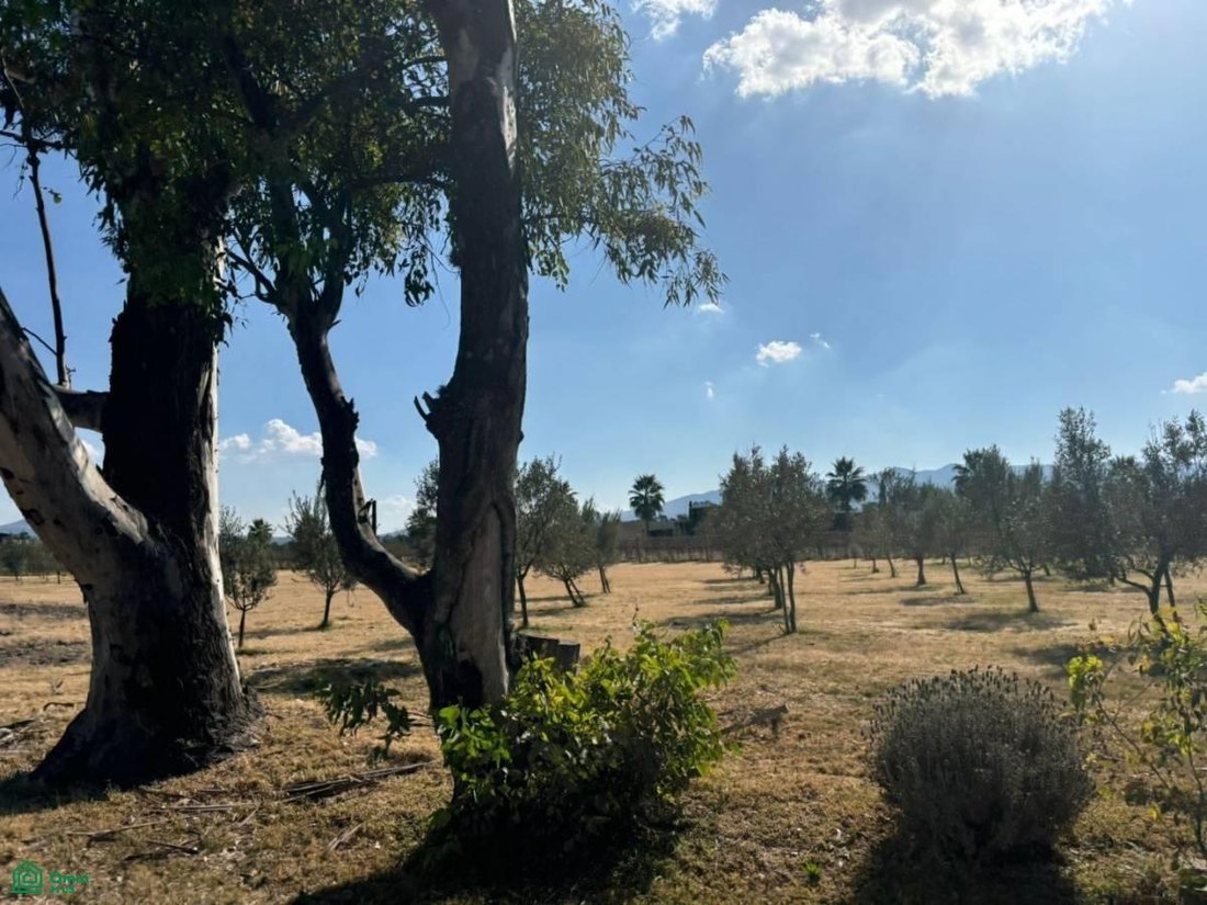 Land in Viñedos San Lucas, Guanajuato, Mexico 3 - 17815098