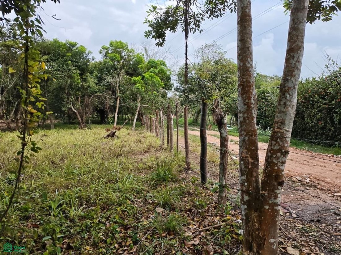 Land in Hermenegildo J. Aldana, Veracruz, Mexiko 3 - 18257242