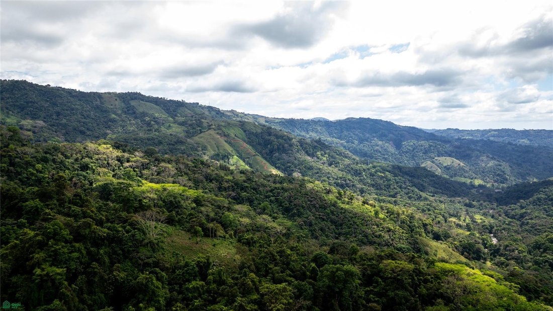 Land in Corredor, Costa Rica 1 - 18640015