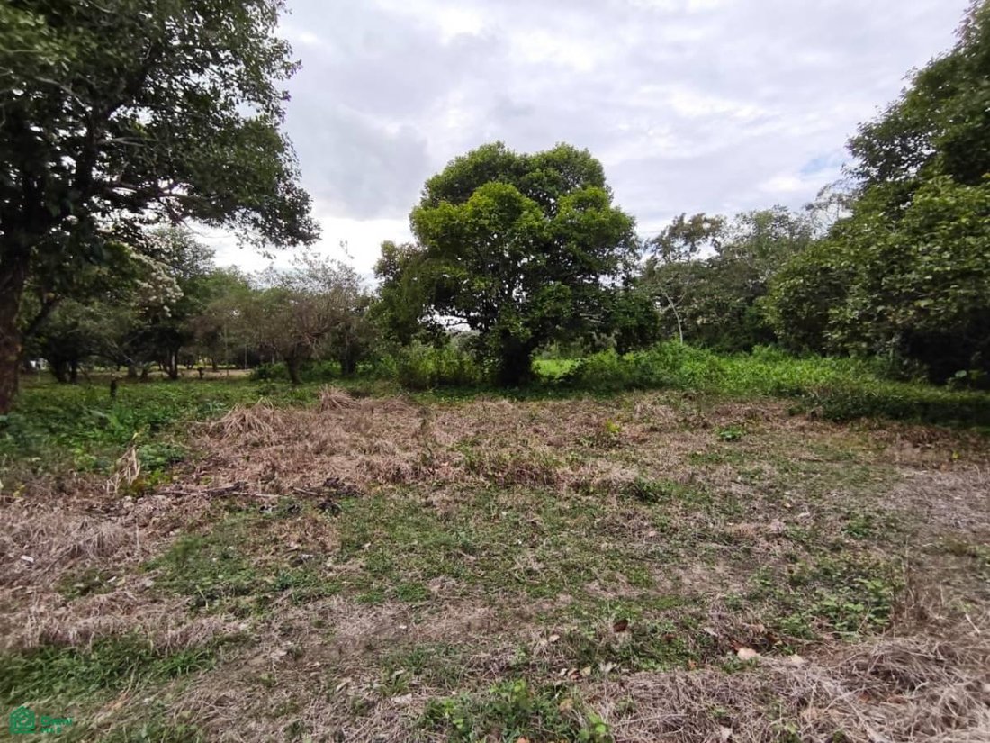 Land in Hermenegildo J. Aldana, Veracruz, Mexiko 2 - 18257242