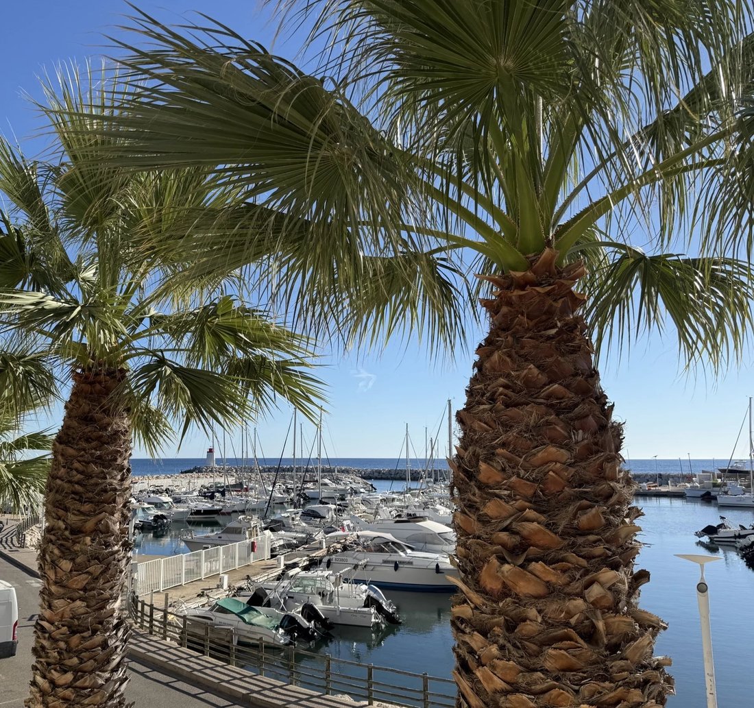 Appartement à Le Village-L'Esperon, Sausset-les-Pins, France 2 - 18863470