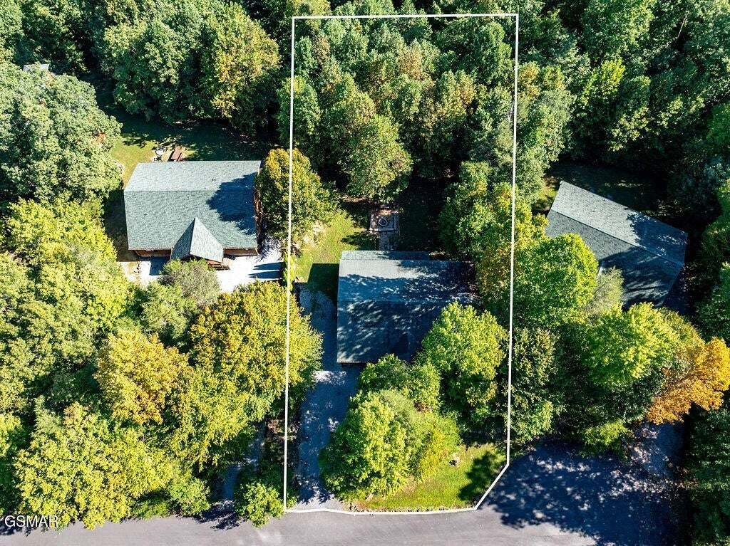 Haus in Cosby, Tennessee, Vereinigte Staaten 4 - 18865044