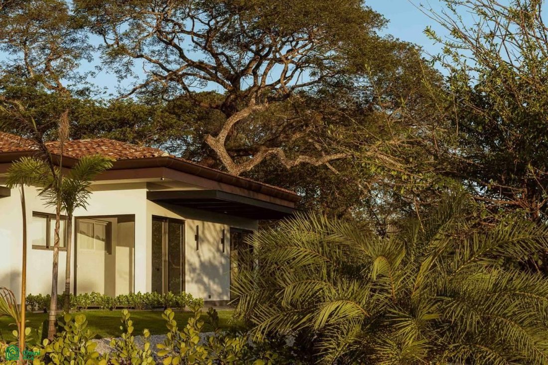 House in Tamarindo, Santa Cruz, Costa Rica 3 - 17090146