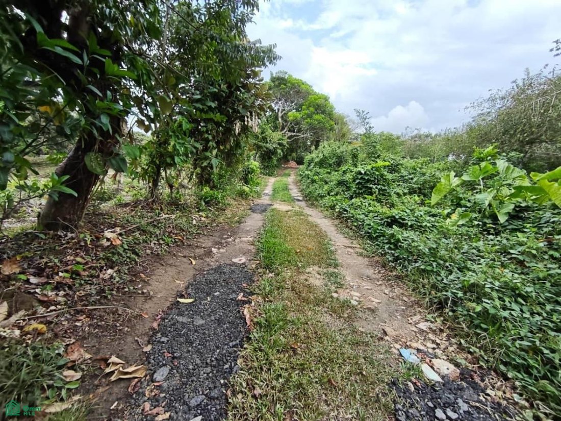 Land in Hermenegildo J. Aldana, Veracruz, Mexiko 4 - 18257242