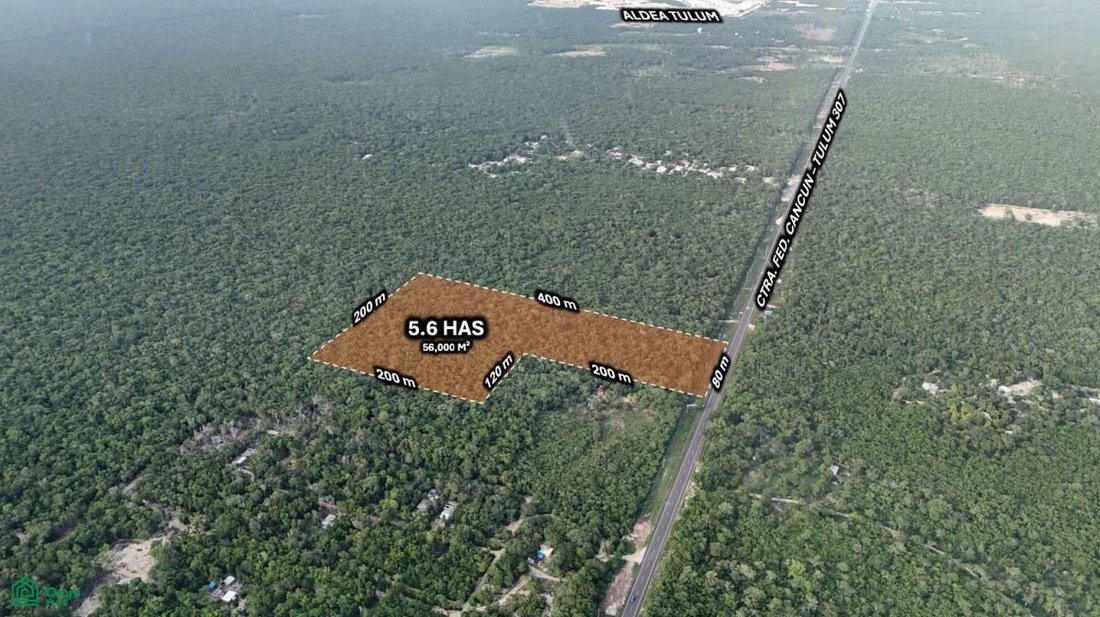Terreno en La Bendición de Dios, Quintana Roo, México 5 - 17804350
