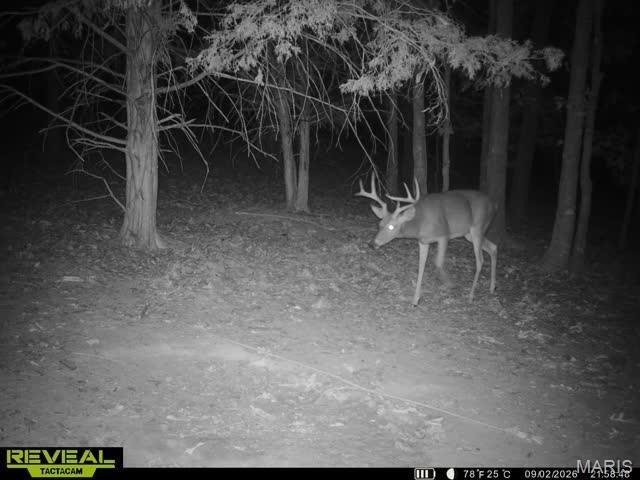 Land in Crocker, Missouri, United States 1 - 18646762
