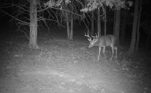 Land in Crocker, Missouri, United States 1