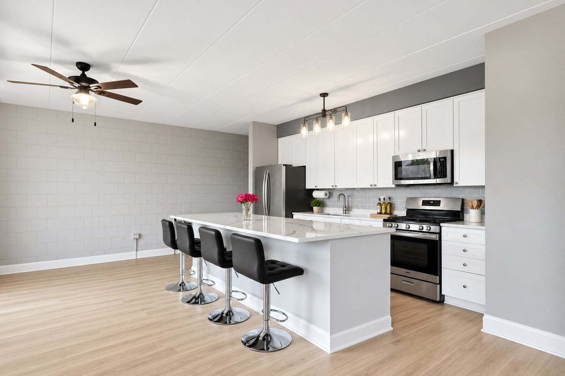 Condo in Chicago, Illinois, United States 4 - 18866736