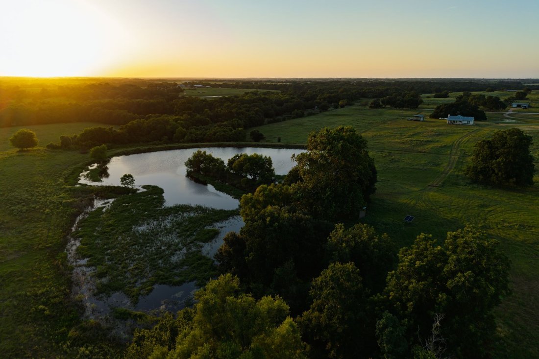 Otros en Bellville, Texas, Estados Unidos 5 - 18868596