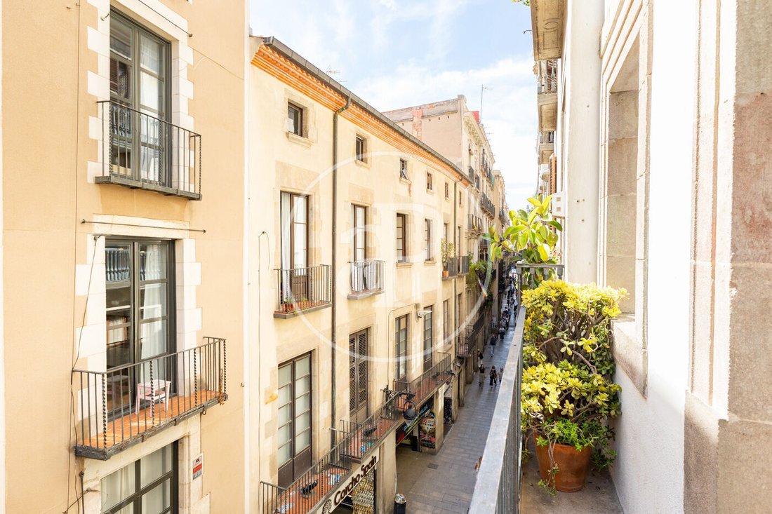 Appartamento a Ciutat Vella, Barcellona, Spagna 3 - 18869305