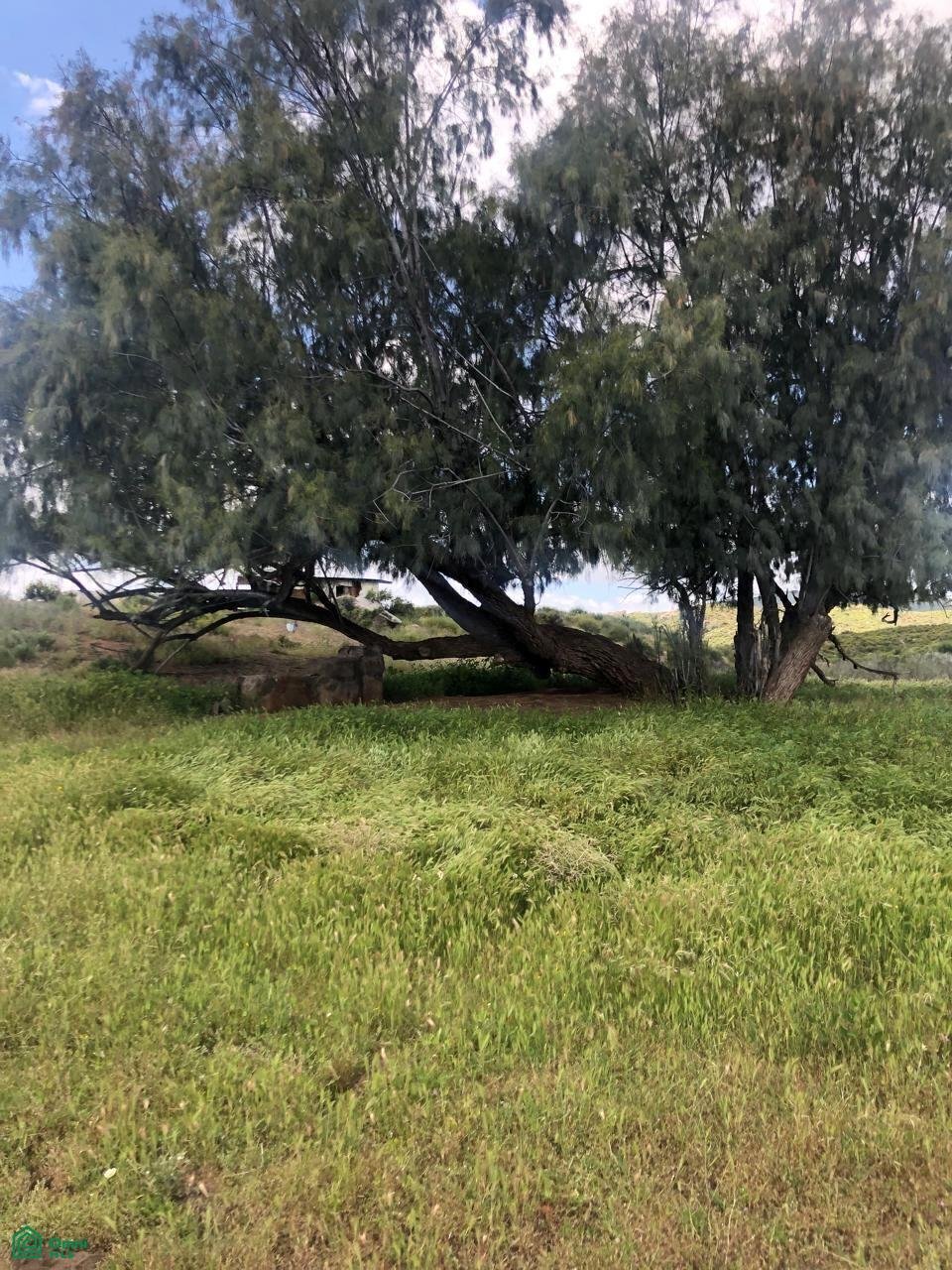 Terreno a San Vicente, Bassa California, Messico 5 - 18868648