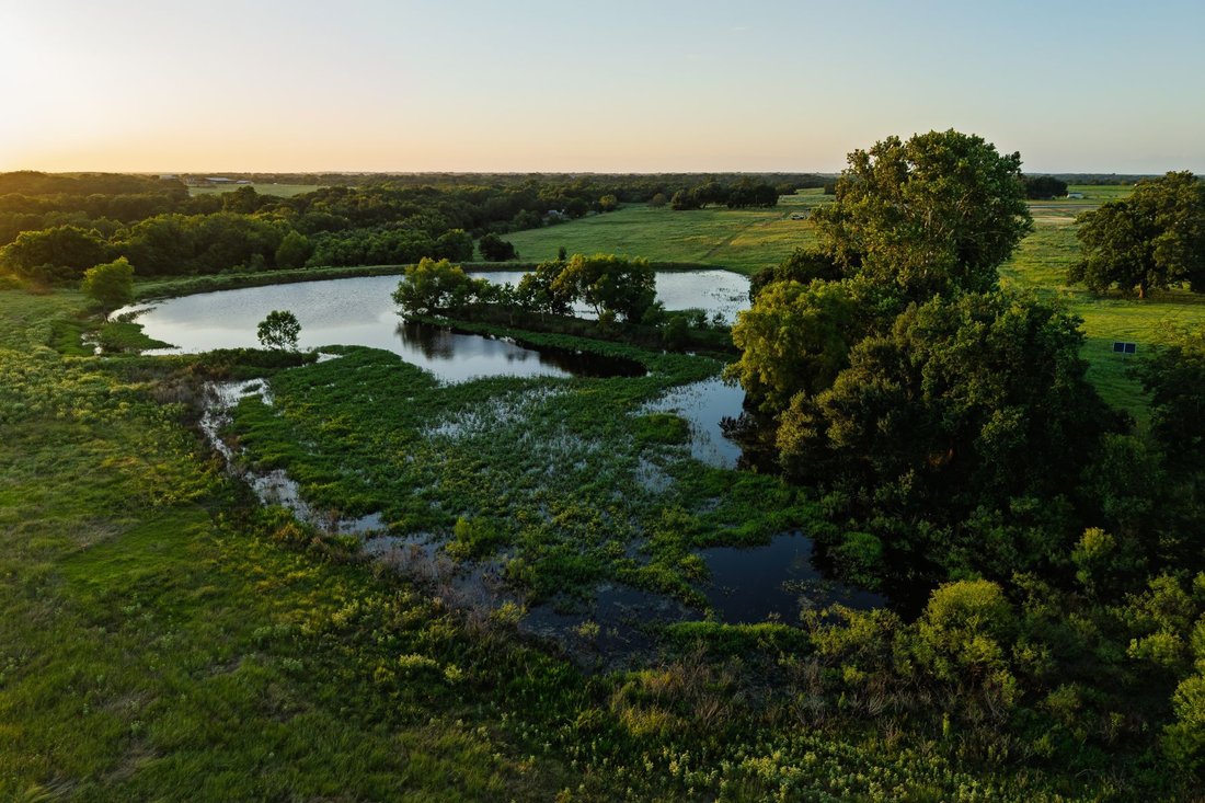 Otros en Bellville, Texas, Estados Unidos 4 - 18868616