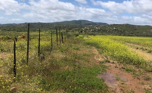 Land in San Vicente, Baja California, Mexico 1