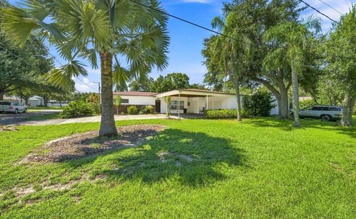 House in Tampa, Florida, United States 1