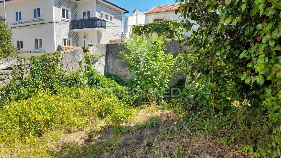 Land in Ilhavo, Aveiro District, Portugal 5 - 18869509
