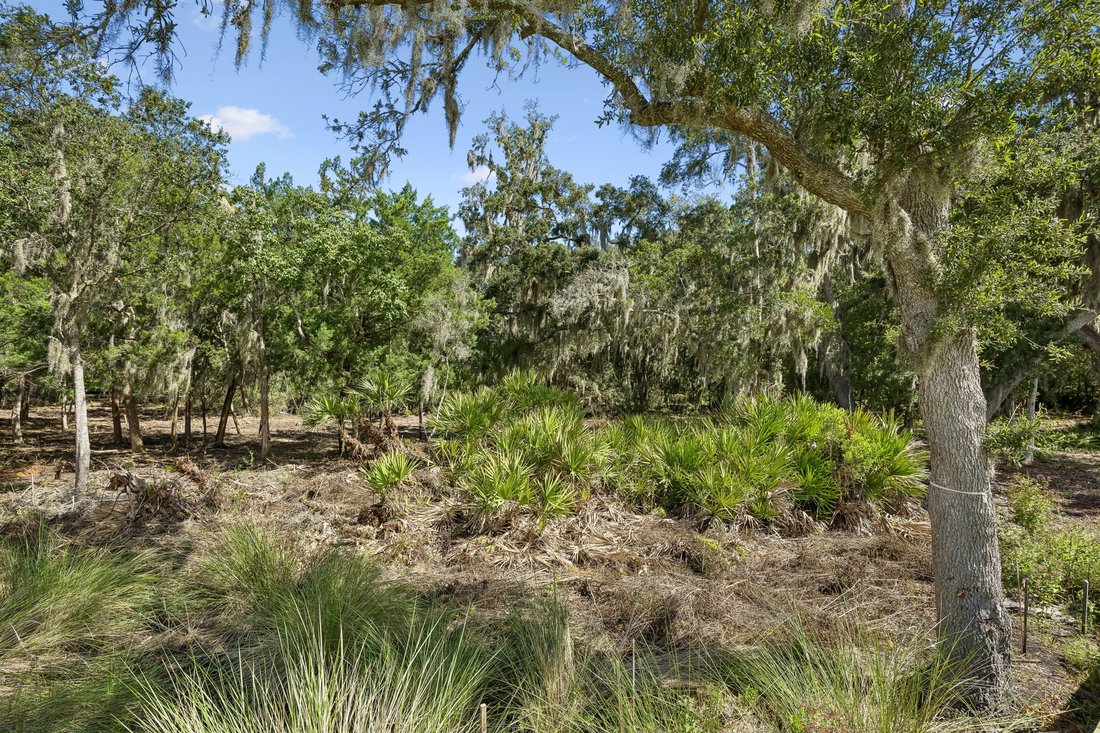 Land in Fernandina Beach, Florida, United States 2 - 18869385