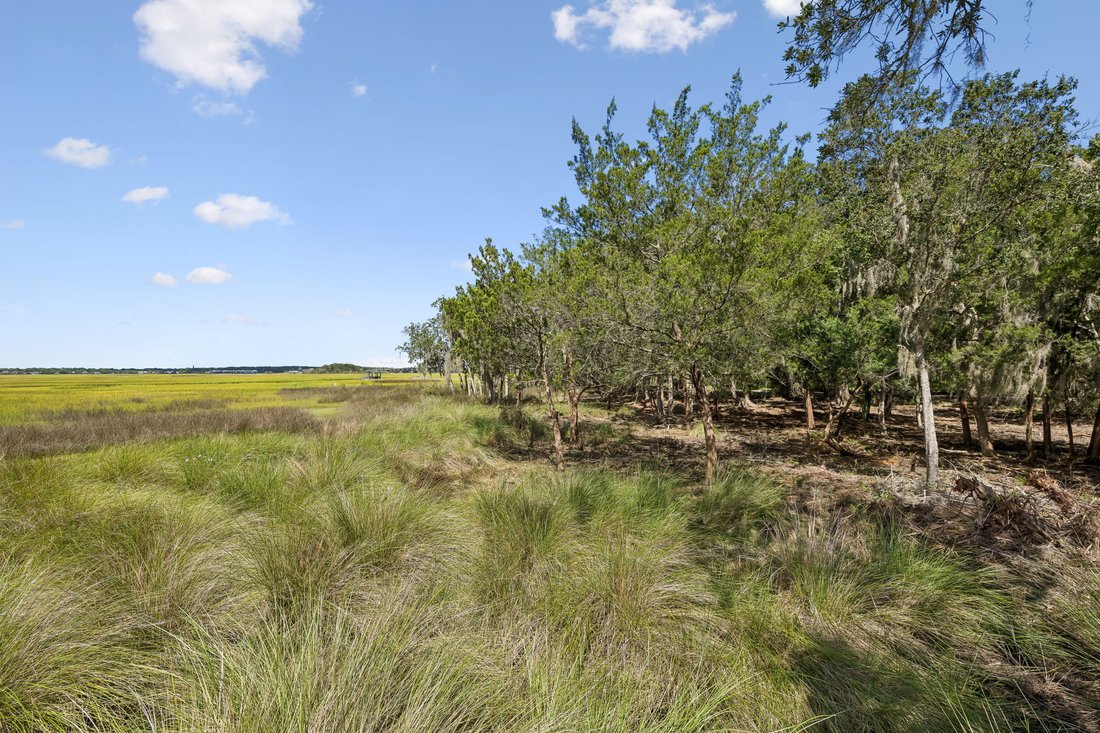 Land in Fernandina Beach, Florida, United States 4 - 18869385