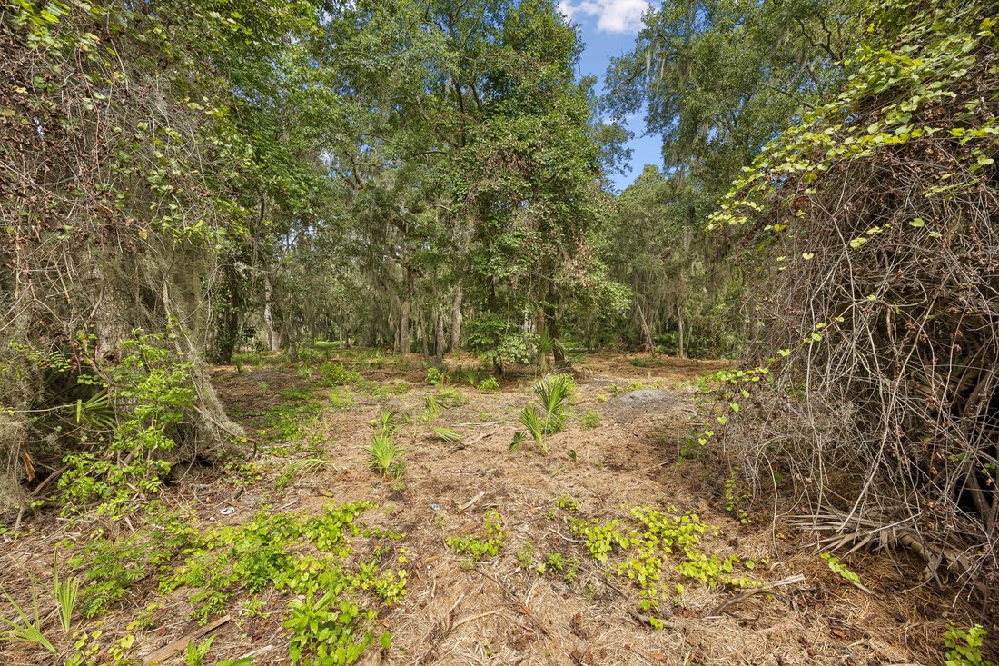 Land in Fernandina Beach, Florida, United States 5 - 18869385