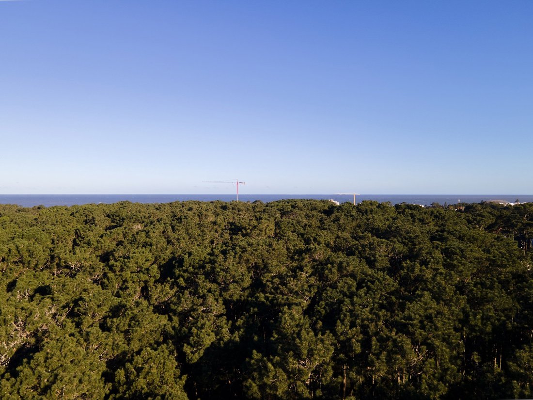 Land in Punta del Este, Maldonado Department, Uruguay 1 - 18869383