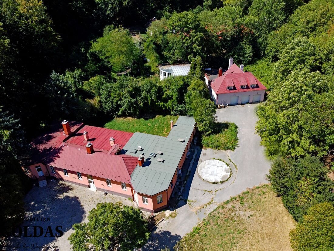 Haus in Baden, Niederösterreich, Österreich 3 - 18869993