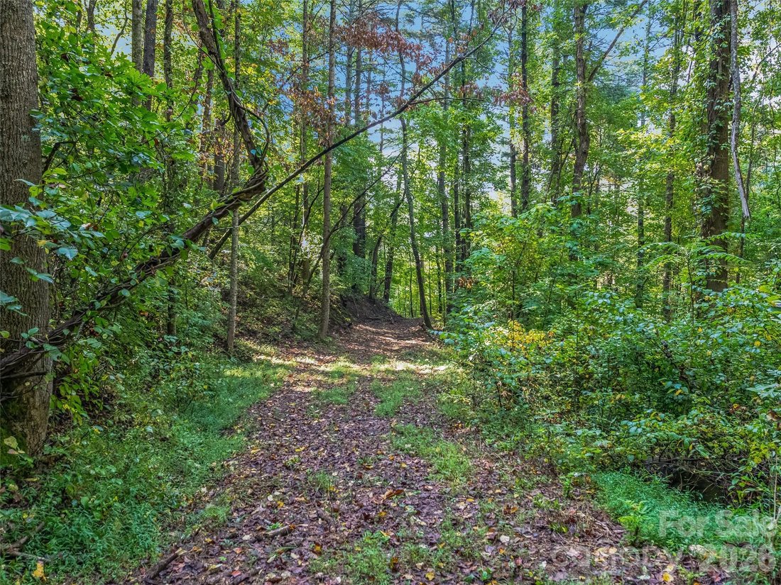 Terreno en Asheville, Carolina del Norte, Estados Unidos 5 - 18869827