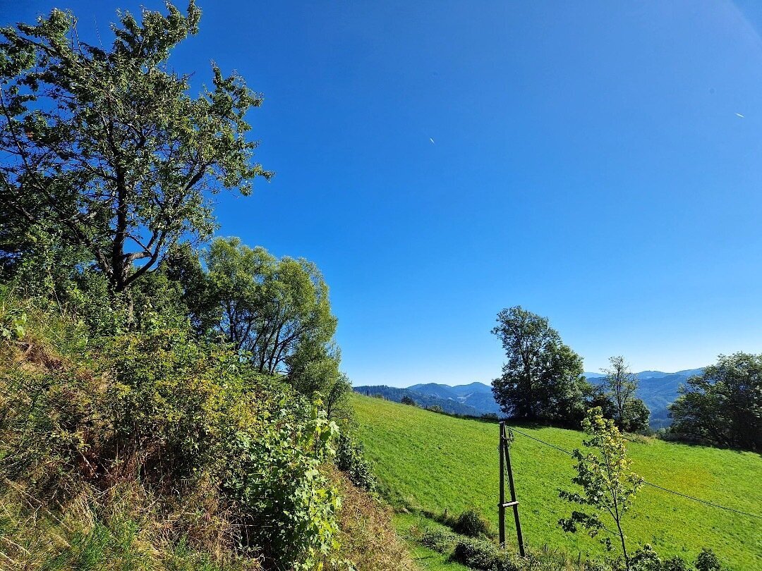 Altro a Köflach, Stiria, Austria 5 - 18870149