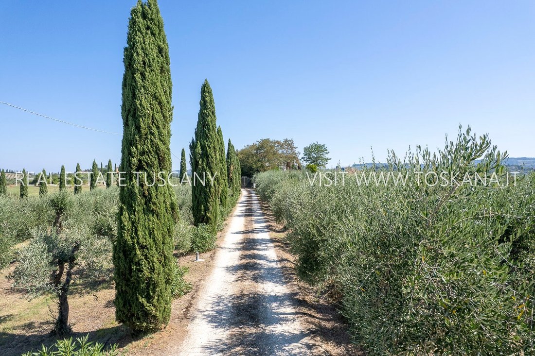 Villa in Centro - Certaldo Alto, Certaldo, Tuscany 4 - 18870471