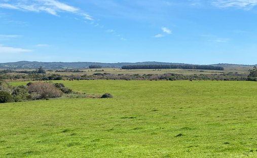 Land in Rocha, Departamento Rocha, Uruguay 1