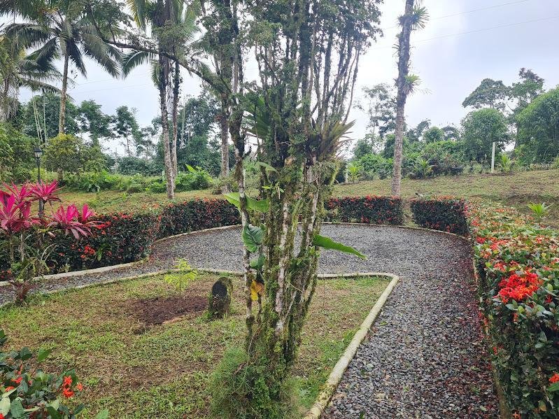 Estate in Pedro Vicente Maldonado, Pichincha, Ecuador 4 - 18872760