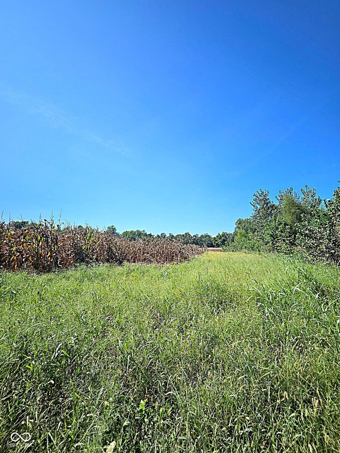 Farm Ranch in Martinsville, Indiana, United States 2 - 18871199