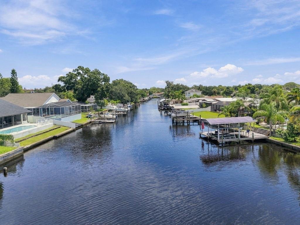 House in Tampa, Florida, United States 4 - 18873427