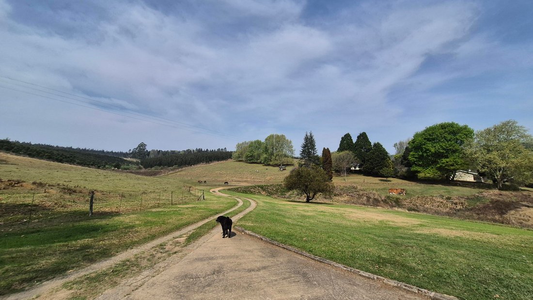 Farm Ranch in Howick, KwaZulu-Natal, South Africa 4 - 18875716