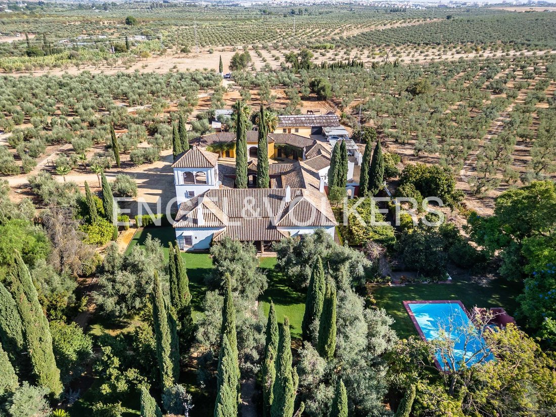 Finca en Mairena del Aljarafe, Andalucía, España 1 - 18874870