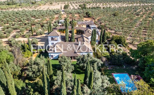 Finca en Mairena del Aljarafe, Andalucía, España 1