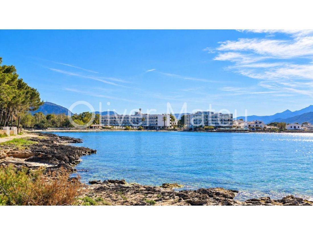 Apartment in Alcudia, Balearic Islands, Spain 1 - 18730622