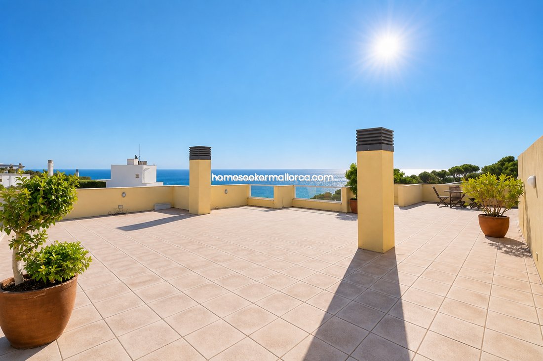 Penthouse à Portals Nous, Calvià, Îles Baléares 2 - 18871918