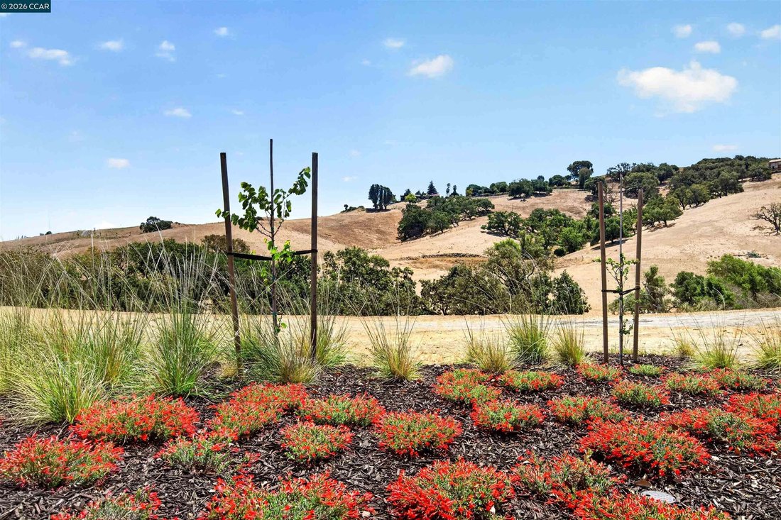 House in Petaluma, California, United States 4 - 16695073