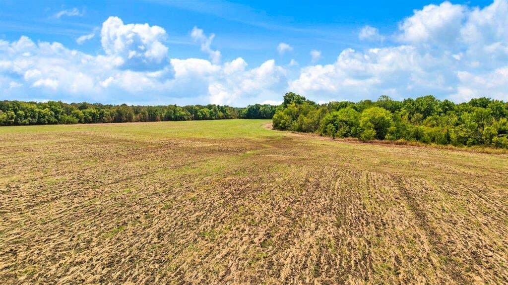Rancho en Roxton, Texas, Estados Unidos 4 - 18871444