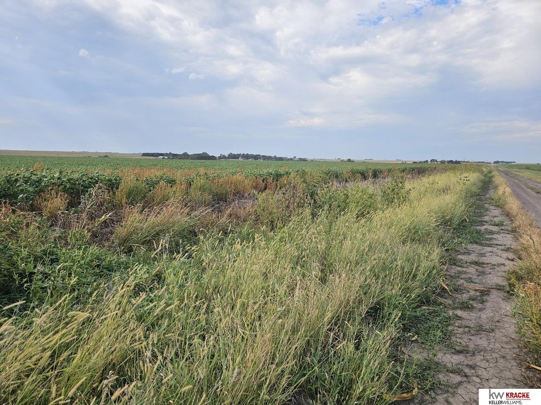 Farm Ranch in Odell, Nebraska, United States 5 - 18874240