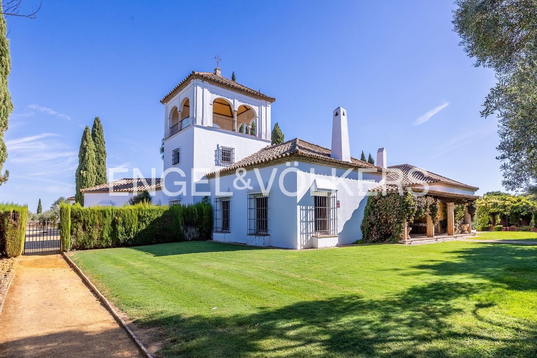 Finca en Mairena del Aljarafe, Andalucía, España 4 - 18874870