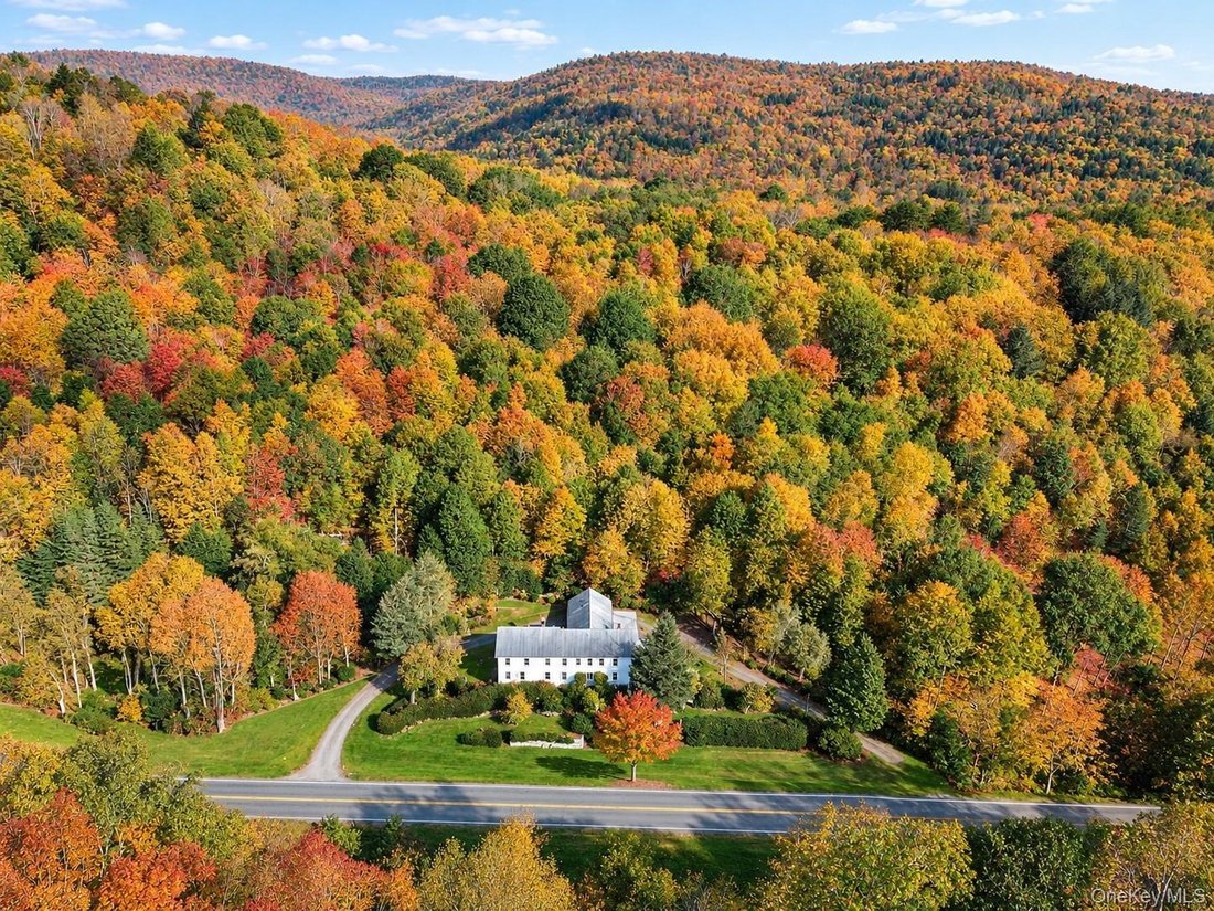 House in Roscoe, New York, United States 1 - 18581452