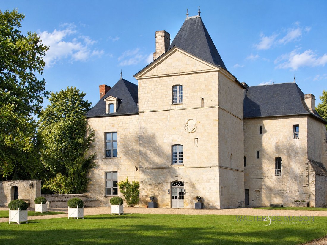 Chateau in Razines, Centre-Val de Loire, France 1 - 18872718