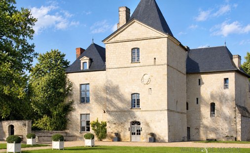 Chateau in Razines, Centre-Val de Loire, France 1