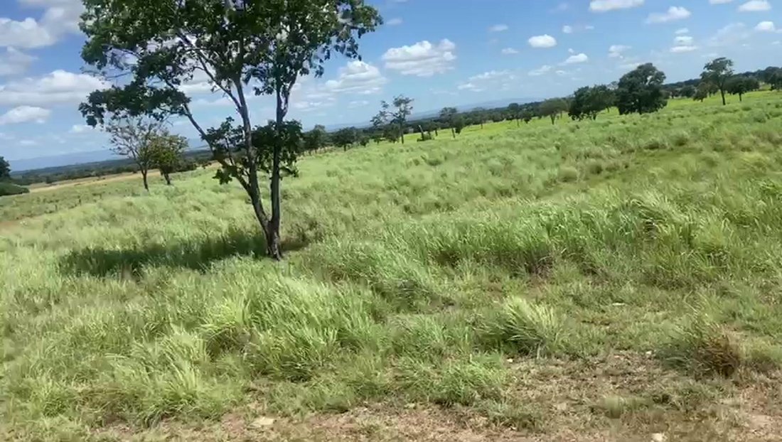 Estate in Iaciara, State of Goiás, Brazil 4 - 18874975