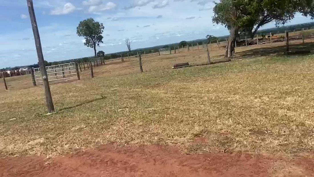 Estate in Iaciara, State of Goiás, Brazil 5 - 18874975