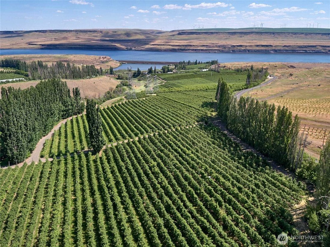 Goodnoe Hills, Washington, United States 2 - 18870967
